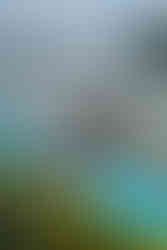 Devil's Lake Paddle Boarding Elopement