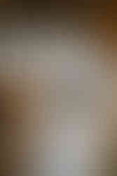 Wisconsin Capitol Elopement