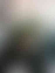 Pavilion at Orchard Ridge Wedding