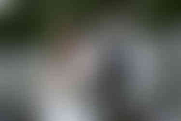 bride and groom on tumbled rocks trail devils lake