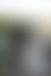 devils lake elopement