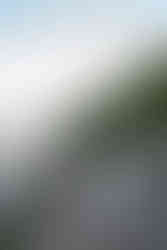 hiking elopement devils lake