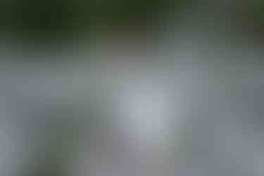 bride and groom on tumbled rocks trail devils lake