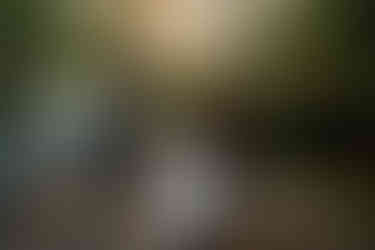 devils lake hiking elopement east bluff trail