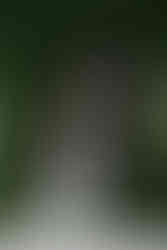 Castle vineyard wedding