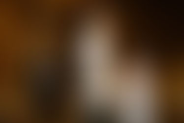 Wisconsin Capitol Wedding