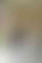 Memorial Union Wedding