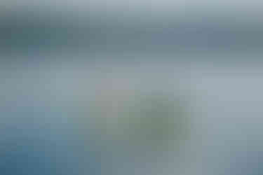 Devil's Lake Paddle Boarding Elopement