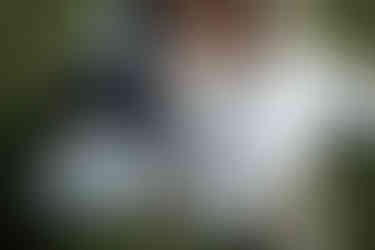 devils lake elopement picnic