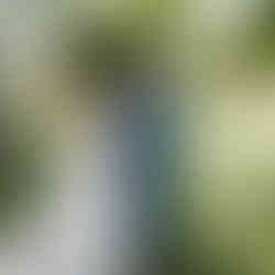 Best Time of Year to Get Married in Madison Wisconsin