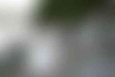 bride and groom on tumbled rocks trail devils lake