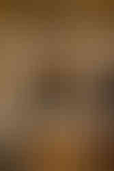 wisconsin capitol elopement