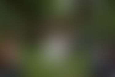 Prevailing Winds Lodge Wedding in Wisconsin