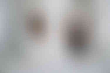 wisconsin capitol elopement