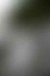 bride and groom on tumbled rocks trail devils lake