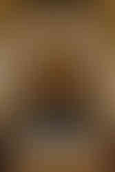 wisconsin capitol elopement