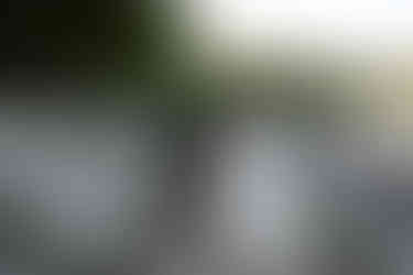 devils lake elopement