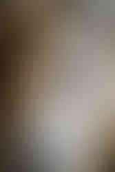 Wisconsin Capitol Elopement