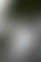 bride and groom on tumbled rocks trail devils lake