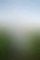 owen conservation park engagement photos