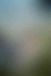 devils lake elopement picnic