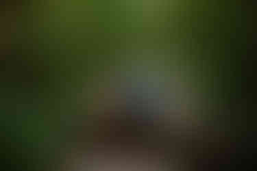 devils lake hiking elopement east bluff trail