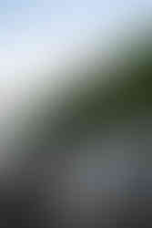 bride and groom devils lake