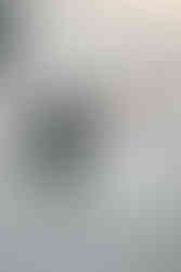 wisconsin capitol elopement