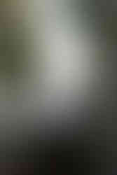 Cave Point County Park Elopement