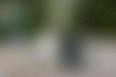 wisconsin capitol elopement