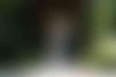 olbrich botanical gardens wedding