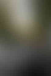 Cave Point County Park Elopement