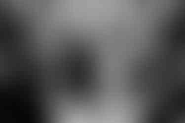 Wisconsin Capitol Elopement ceremony