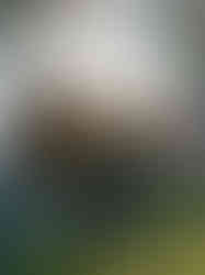 devils lake hiking elopement details