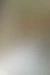 Memorial Union Wedding