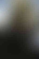 Cave Point County Park Elopement