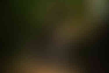 devils lake hiking elopement east bluff trail