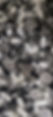 20241213_082138.jpg