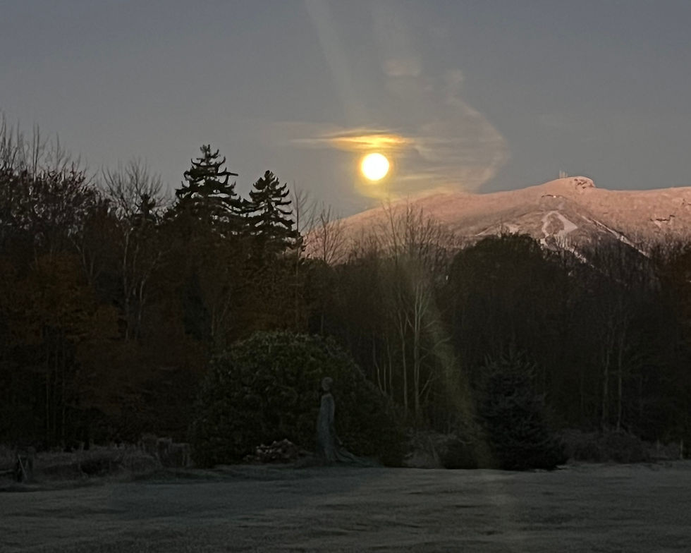 January Group Meditation