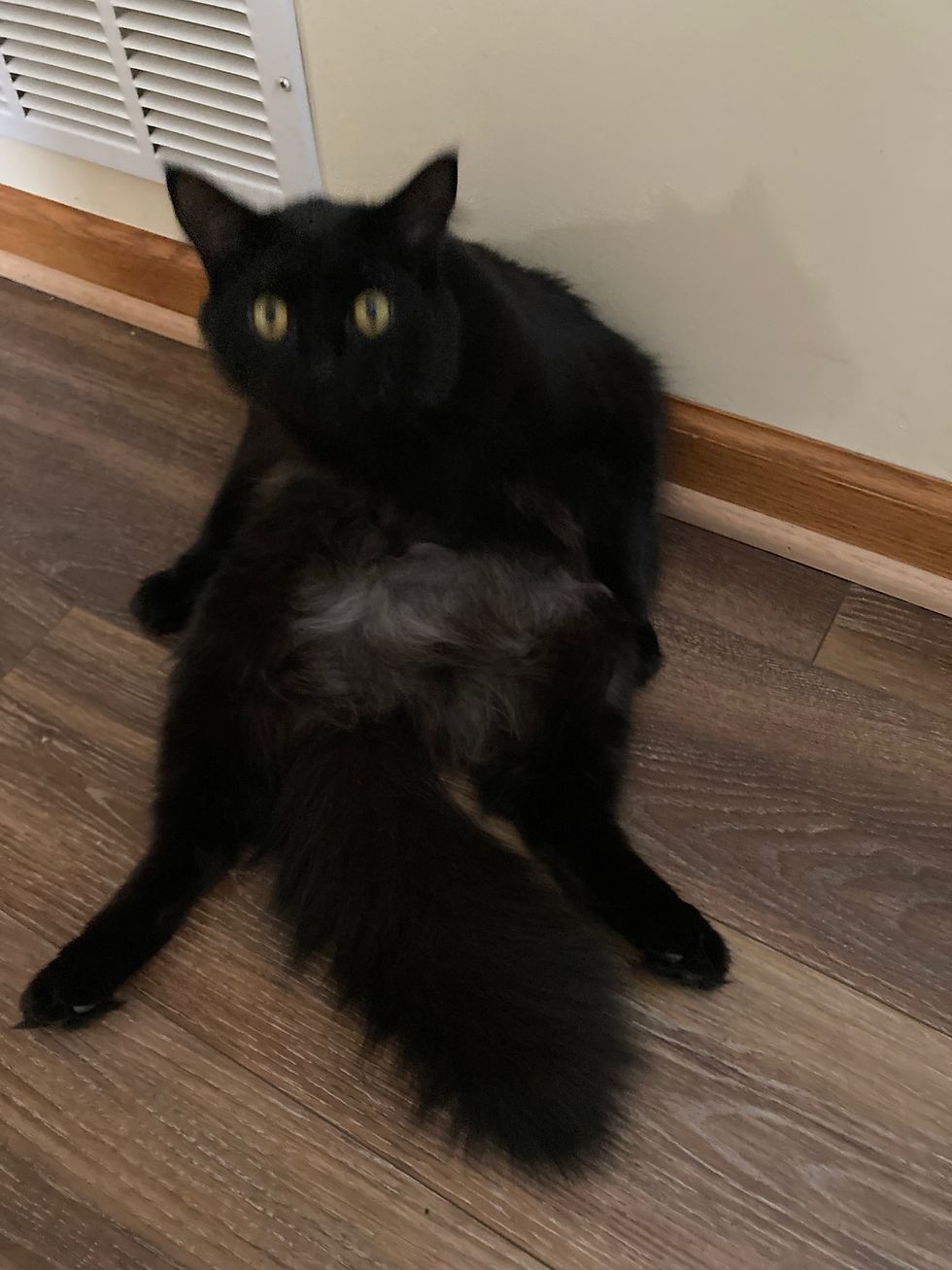 So much floof. So much.