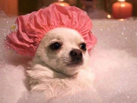 Crunchy Perimenopause, part 3: Hygiene Habits for Hairy Hippies (with crunchy recipes, and product recommendations!) 