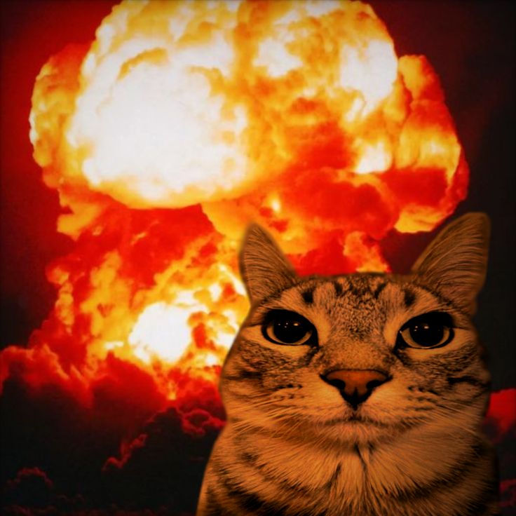 Current peek inside my intestinal tract.