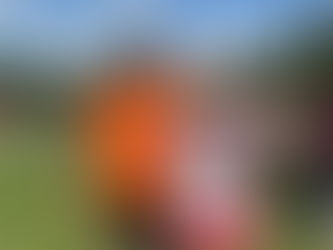 Exceptional Achievements and Great Teamwork