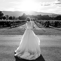 Wedding-382_edited.png