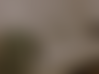 Älyteknologia vuokrakohteessa: lisäarvoa vai turha kustannus?