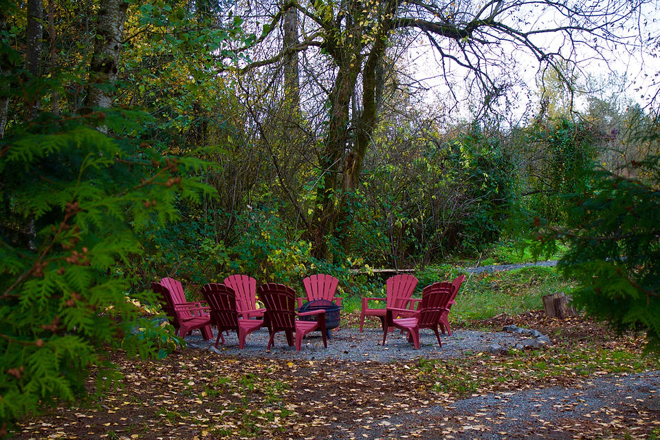 Bough and Branch Christmas Tree Farm Loewen Family Abbotsford