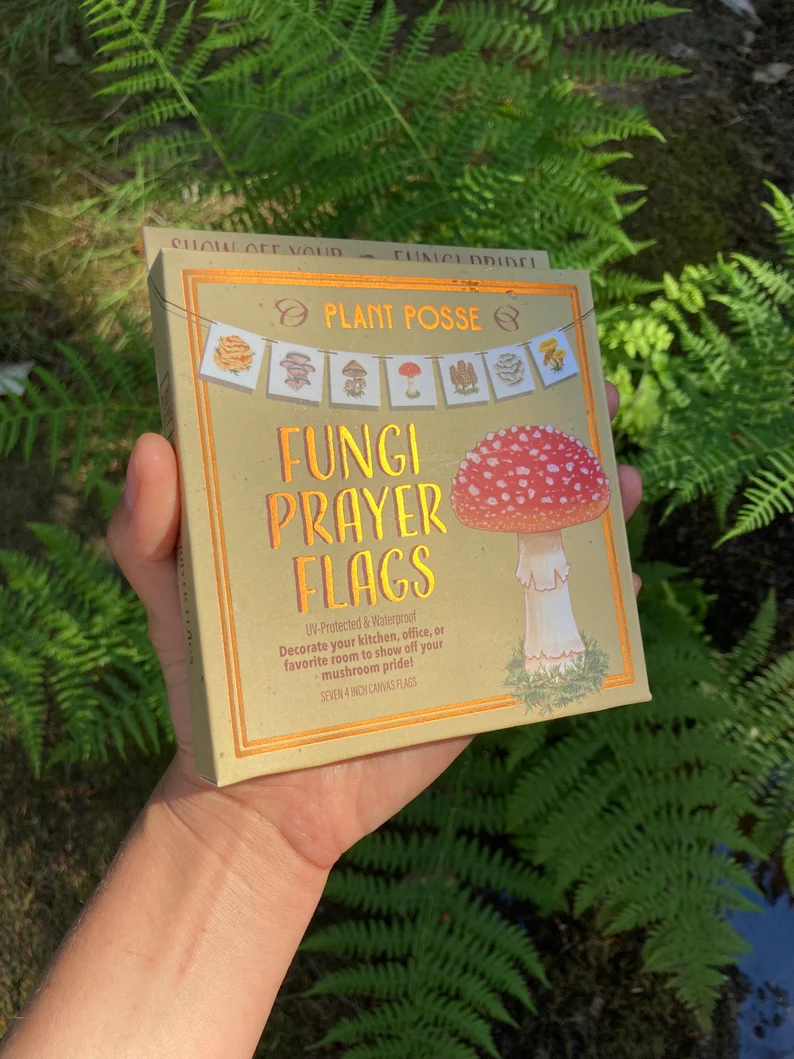 Mushroom Gift Set Plant Posse