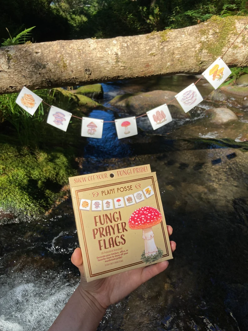 Mushroom Gift Set Plant Posse