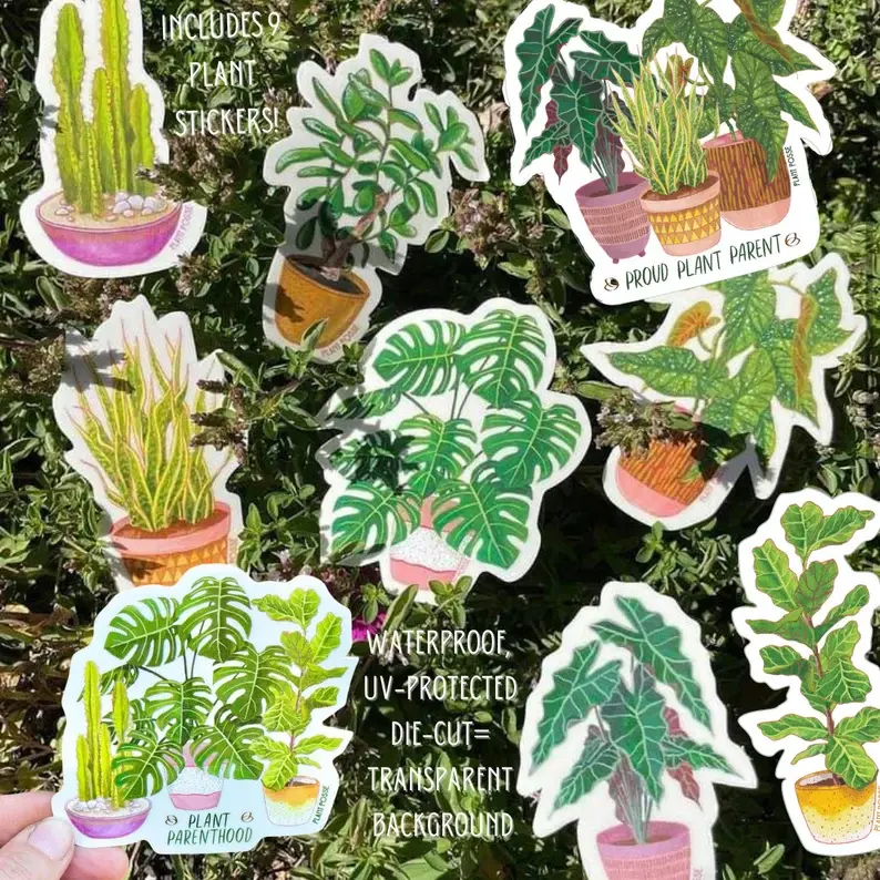 Houseplant Gift Set