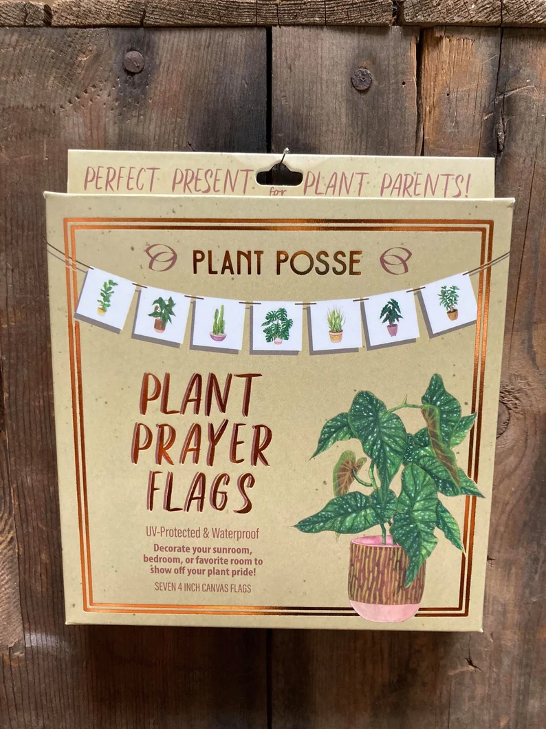Housplant Gift Set Plant Posse